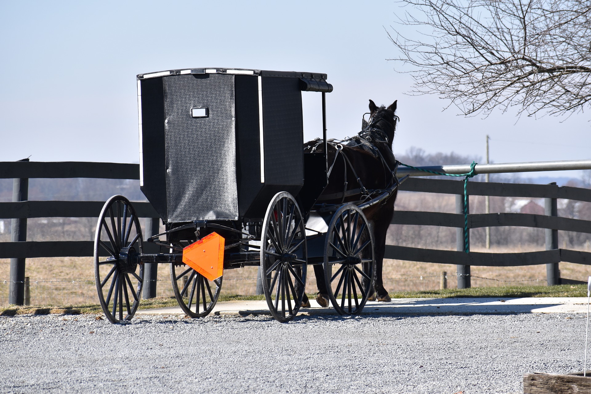 amish szekér